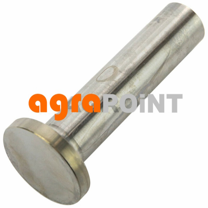 Zetor Ventilstößel - Ventilstössel 78.004.006  Ersatzteile » Agrapoint