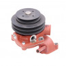 Zetor Wasserpumpe - Proxima 67.017.009 67.017.019 Ersatzteile » Agrapoint 