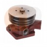 Zetor Proxima Wasserpumpe 68.017.029 Ersatzteile » Agrapoint
