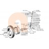 zetor-vorderachse-schraube-m14x1,5x75-990388
