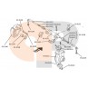 Zetor Carraro Achskoerper 930142  Ersatzteile » Agrapoint 